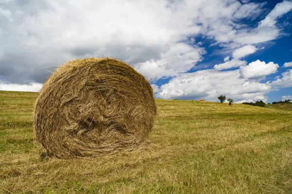 A harvest landscape vista in rolling hills in Romania with round — Stock Photo, Image