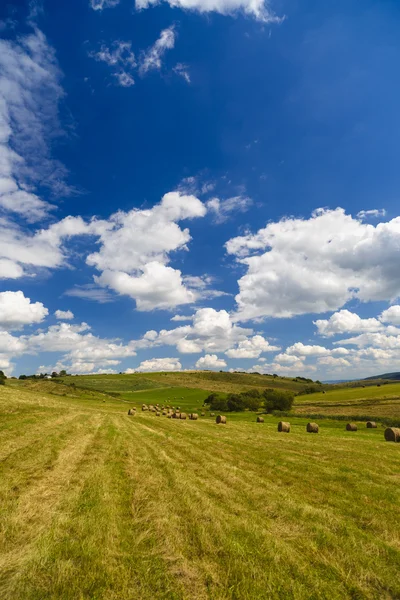 A harvest landscape vista in rolling hills in Romania with round — Stock Photo, Image