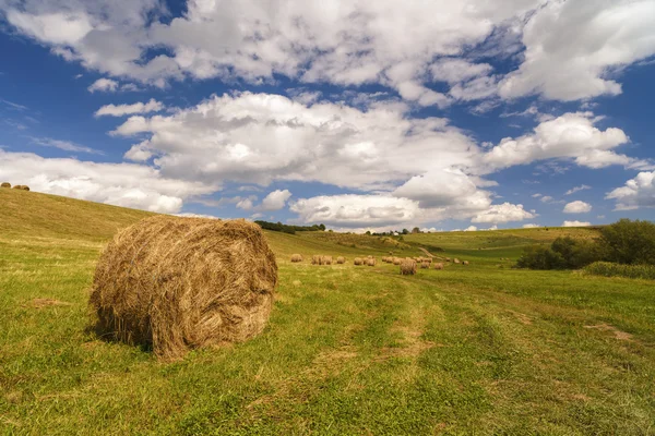 En skörd landskap vista i böljande kullar i Rumänien med runda — Stockfoto