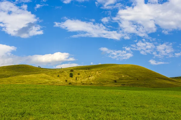 Mooi landschap met gras op een heuvel — Stockfoto