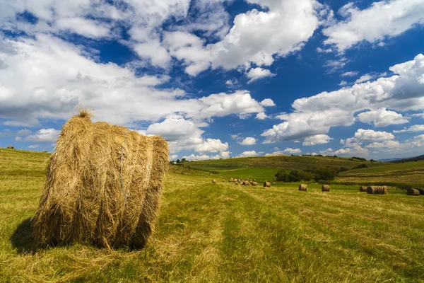 A harvest landscape vista in rolling hills in Romania with round Royalty Free Stock Images