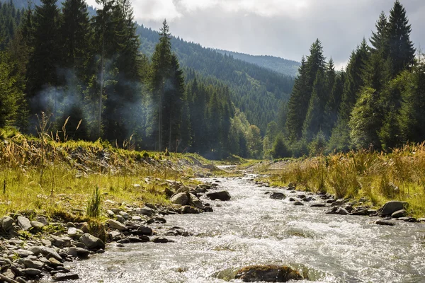 Un río de montaña que fluye a través de un bosque de pinos — Foto de Stock