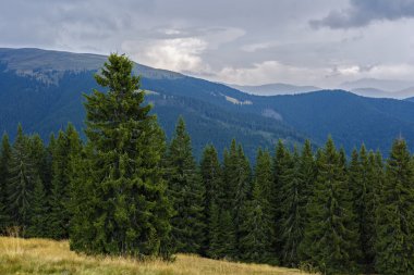 beautiful mountain landscape with a valley under cloudy sky in C clipart