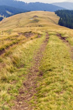 çim kaplı bir dağ zirvesine giden yol