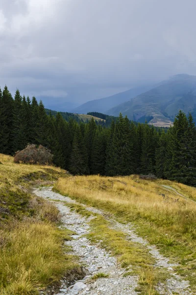 Çim kaplı bir dağ zirvesine giden yol — Stok fotoğraf