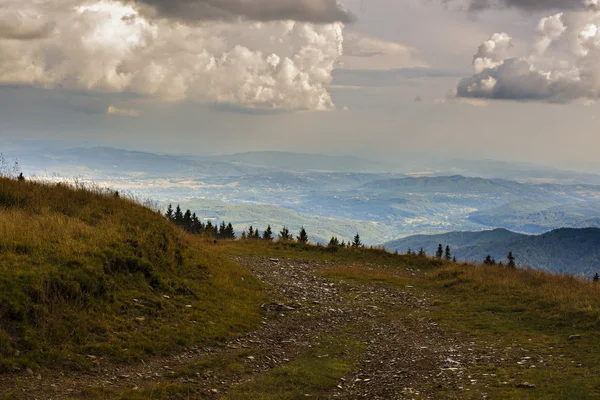 Cesta na vrchol pohoří pokryté trávou — Stock fotografie