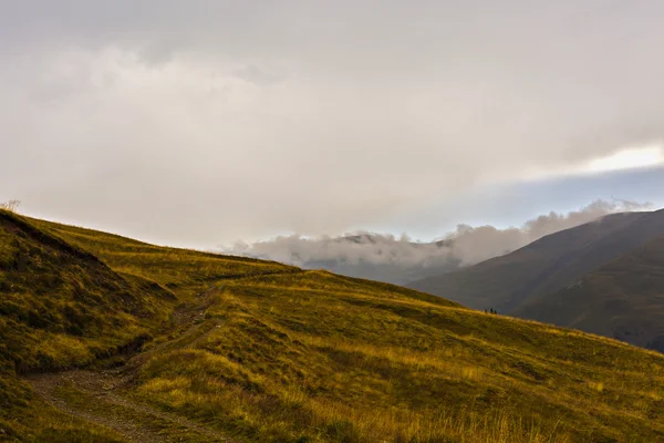 Çim kaplı bir dağ zirvesine giden yol — Stok fotoğraf