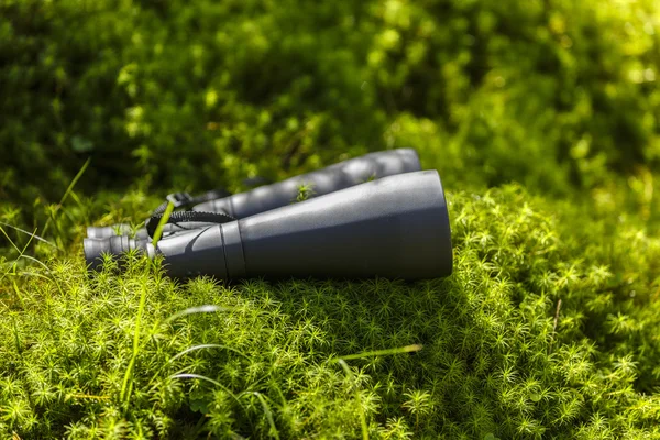 Binocolo in erba verde, concetto di turismo — Foto Stock