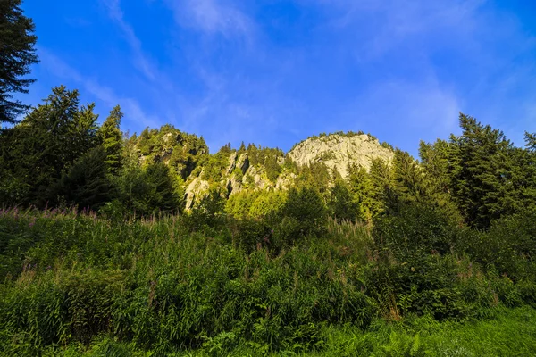 Nádhernou krajinu v Alpách, Švýcarsko — Stock fotografie