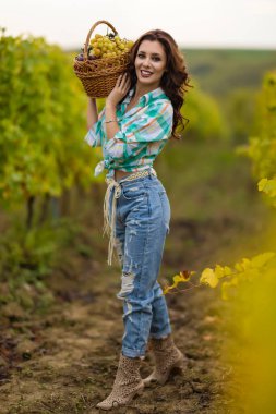 Üzüm bağında bir sepet üzümle gülümseyen kadın.