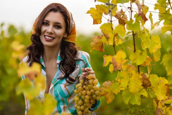 Retrato Una Joven Mujer Hermosa Recogiendo Uvas —  Fotos de Stock