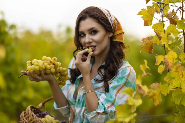 Mujer Joven Bonita Comiendo Uvas Viñedo Mujer Bonita Vinería —  Fotos de Stock