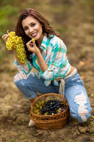 Hübsche Junge Frau Beim Traubenessen Weinberg Hübsche Frau Weinberg — Stockfoto