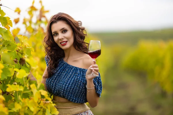 Güz Günü Üzüm Bağında Bir Kadeh Kırmızı Şarapla Güzel Bir — Stok fotoğraf