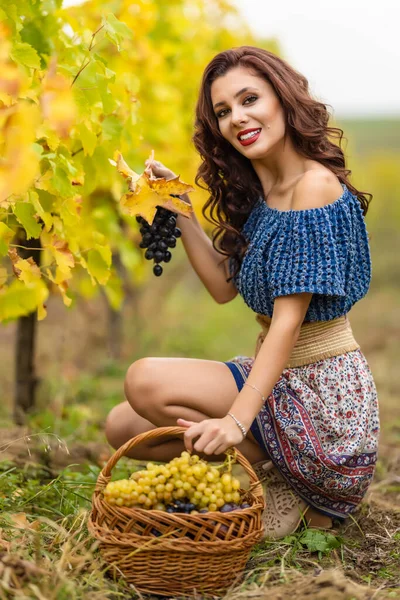 Eine Schöne Frau Mit Einem Korb Voller Trauben Herbst Weinberg — Stockfoto
