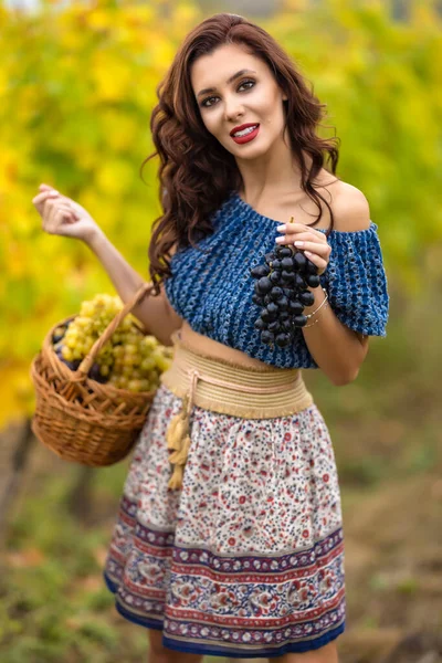 Eine Schöne Frau Mit Einem Korb Voller Trauben Herbst Weinberg — Stockfoto