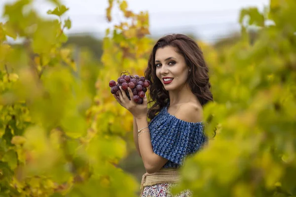 Belle Femme Tenant Des Raisins Dans Main Dans Vigne Saison — Photo