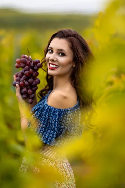 Schöne Frau Mit Trauben Der Hand Weinberg — Stockfoto