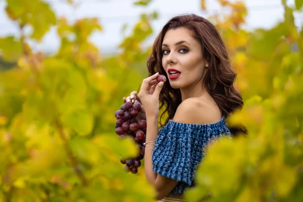 Bella Donna Che Tiene Uve Mano Vigneto Stagione Autunnale — Foto Stock