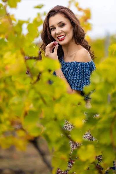 ブドウ畑で彼女の手の中に美しい女性保持ブドウ 秋のシーズン — ストック写真