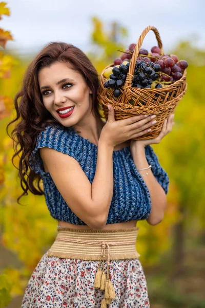 Eine Schöne Frau Mit Einem Korb Voller Trauben Herbst Weinberg — Stockfoto