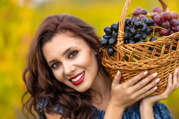 Eine Schöne Frau Mit Einem Korb Voller Trauben Herbst Weinberg — Stockfoto