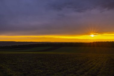 Sonbaharda bir tarla üzerinde günbatımı olan manzara