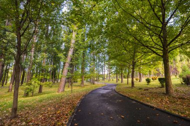 Ekim günü parkta güzel bir sonbahar manzarası.