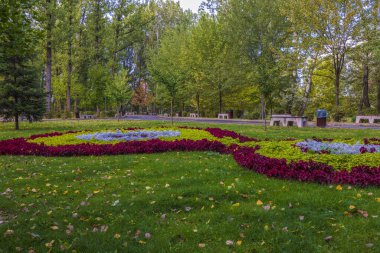 Ekim günü parkta güzel bir sonbahar manzarası.