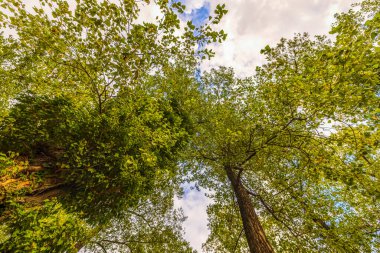 Ekim günü parkta güzel bir sonbahar manzarası.