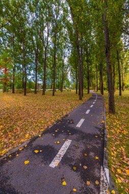Ekim günü parkta güzel bir sonbahar manzarası.