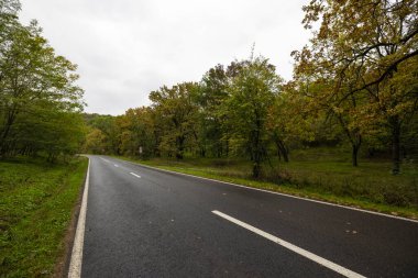 Ekim günü parkta güzel bir sonbahar manzarası.