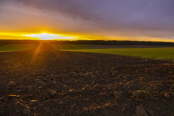 Paisagem Com Pôr Sol Sobre Campo Agrícola Outono — Fotografia de Stock