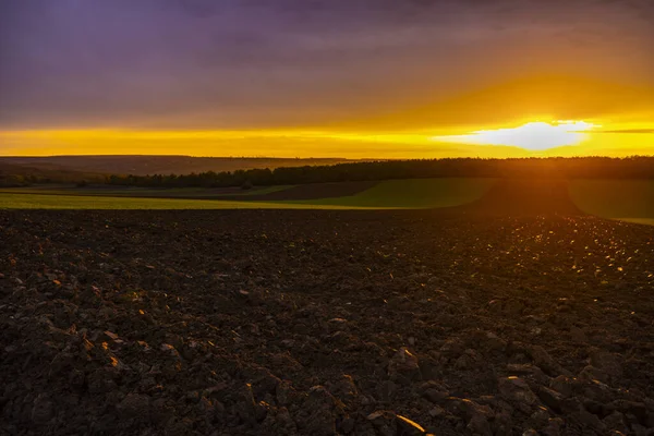 Paesaggio Con Tramonto Campo Agricolo Autunno — Foto Stock