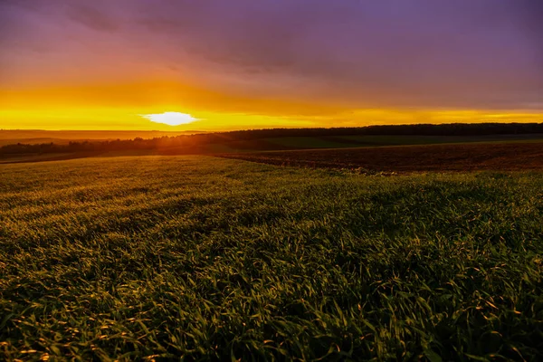 秋には農地の上に夕日が沈む風景 — ストック写真