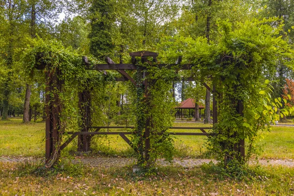 Hermoso Paisaje Otoñal Parque Día Octubre —  Fotos de Stock