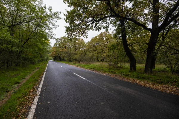 Een Prachtig Herfstlandschap Het Park Een Oktoberdag — Stockfoto