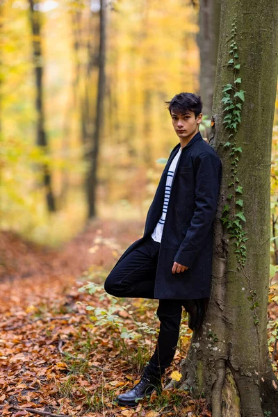 秋天森林里一个英俊的年轻人的画像 时尚观念 — 图库照片