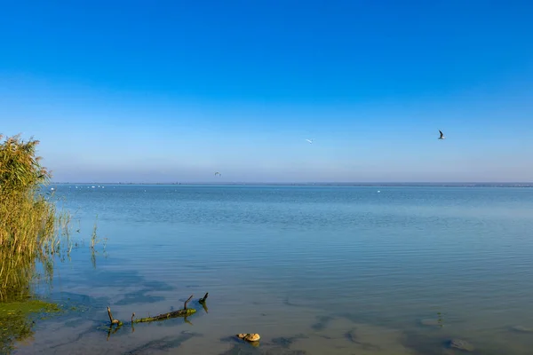 Bela Paisagem Com Lago Florestal — Fotografia de Stock