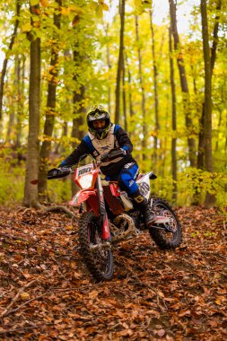 7 Kasım 2020, Romanya 'nın Pitesti kenti yakınlarındaki ormanda yapılan enduro motosiklet eğitiminden görüntüler.