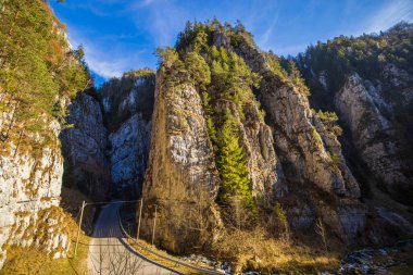 Romanya 'nın Karpat Dağları' ndaki güzel dağ manzarası sonbahardan kışa geçiş döneminde.