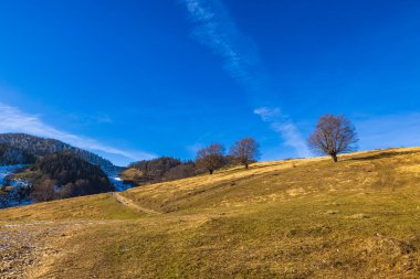 Romanya 'nın Karpat Dağları' ndaki güzel dağ manzarası sonbahardan kışa geçiş döneminde.