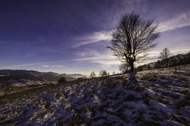 Romanya 'nın Karpat Dağları' ndaki güzel dağ manzarası sonbahardan kışa geçiş döneminde.