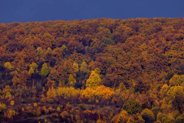 Hermoso Paisaje Montaña Las Montañas Los Cárpatos Rumania Transición Otoño — Foto de Stock