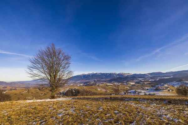 Bela Paisagem Montanhosa Nas Montanhas Dos Cárpatos Romênia Transição Outono — Fotografia de Stock