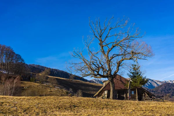 Altes Holzhaus Auf Dem Berg — Stockfoto