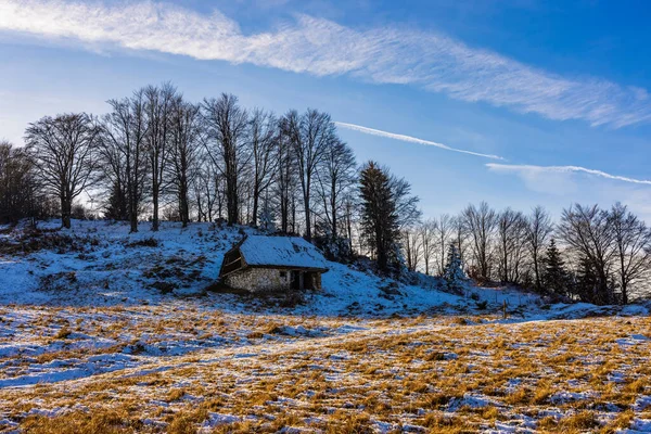 Dağdaki Eski Ahşap — Stok fotoğraf