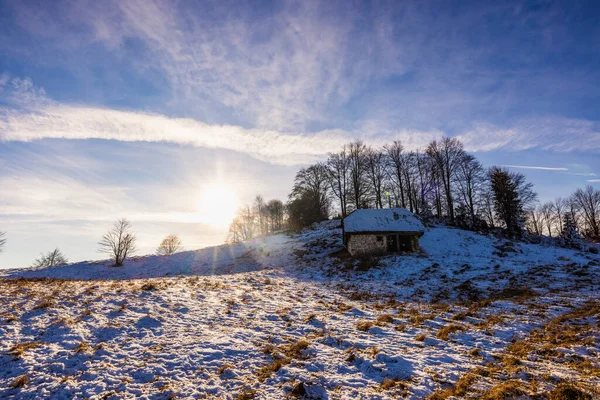 Dağdaki Eski Ahşap — Stok fotoğraf