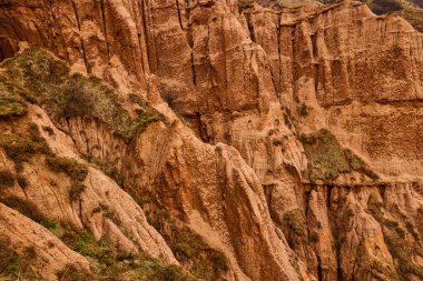 Sebes yakınlarındaki Carpathian dağlarından güzel Kızıl Geçit (Rapa Rosie)