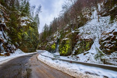 Kışın boş bir dağ yolu olan manzara